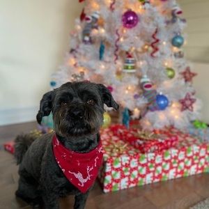 Meet your Posher, Renee